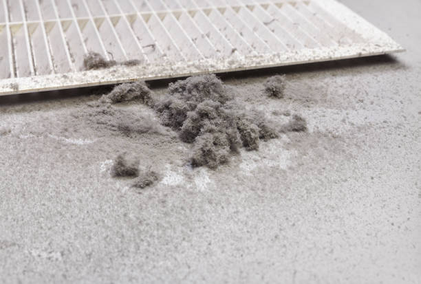 Best Ductwork Cleaning Services  in Charleston, WV
